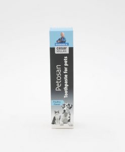 Petosan 寵物雞味牙膏 70G