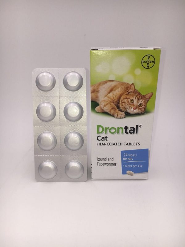 PETS CONNECT
