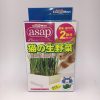CattyMan 種鮮貓草