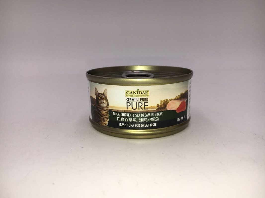 PETS CONNECT