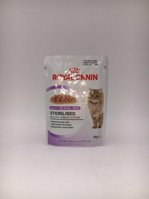 PETS CONNECT