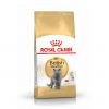 Royal Canin 英國短毛成貓配方 (BSH)
