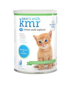 PetAg 貝克 KMR 愛貓樂 幼貓羊奶粉 340G